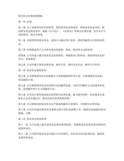 债务资金管理制度模板
