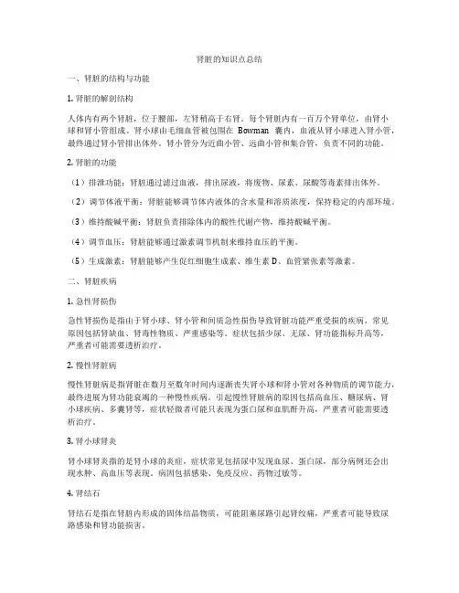 肾脏的知识点总结