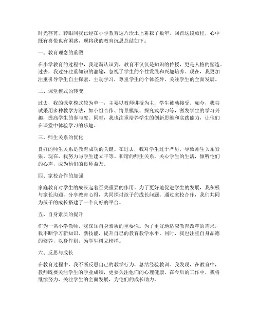 小学教育沉思总结范文