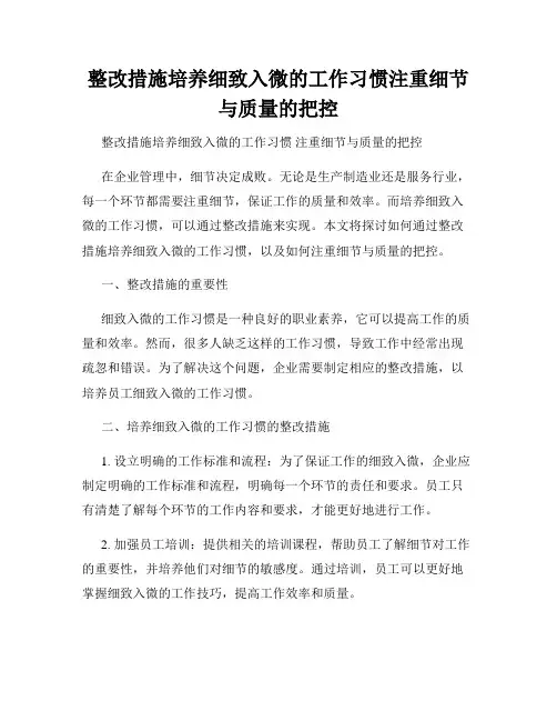 整改措施培养细致入微的工作习惯注重细节与质量的把控
