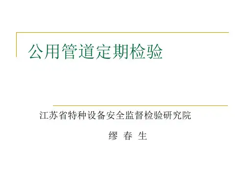 公用管道定期检验(专题)