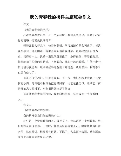 我的青春我的榜样主题班会作文