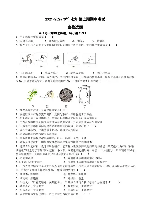 2024-2025学年七年级上期期中考试生物试卷
