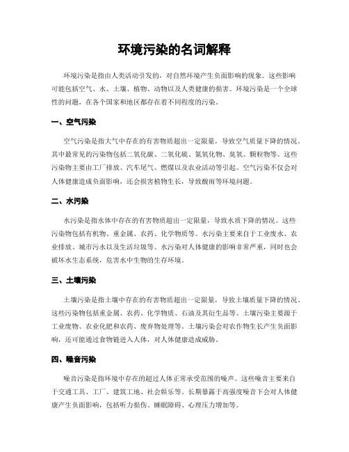 环境污染的名词解释