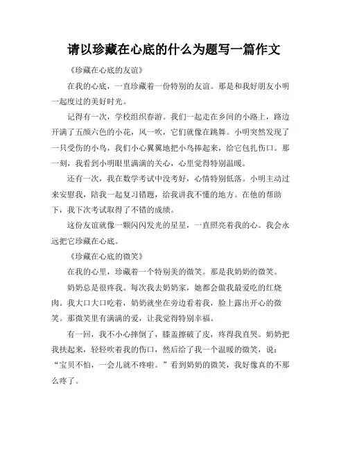 请以珍藏在心底的什么为题写一篇作文