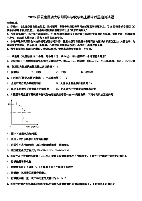 2025届云南民族大学附属中学化学九上期末质量检测试题含解析
