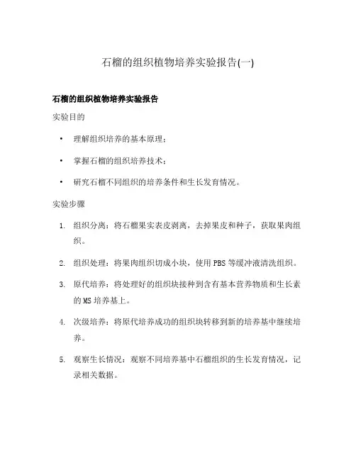 石榴的组织植物培养实验报告(一)