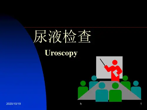 《尿液检查》PPT课件
