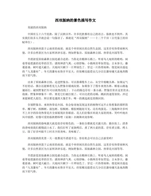 西双版纳的景色描写作文