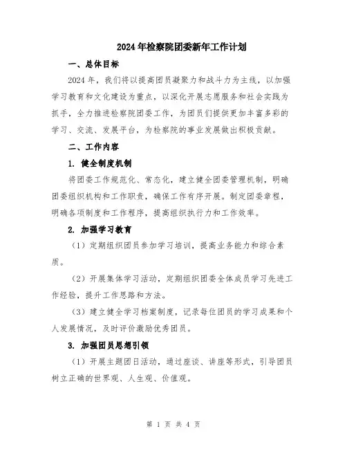 2024年检察院团委新年工作计划