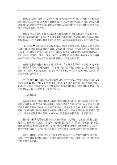 最新种植桐油树的经济效益