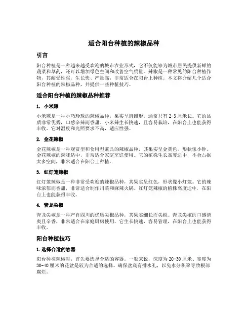 适合阳台种植的辣椒品种