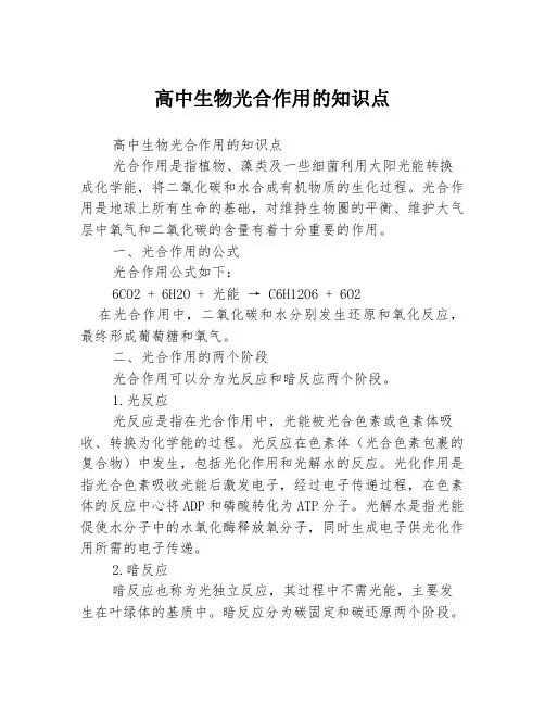 高中生物光合作用的知识点