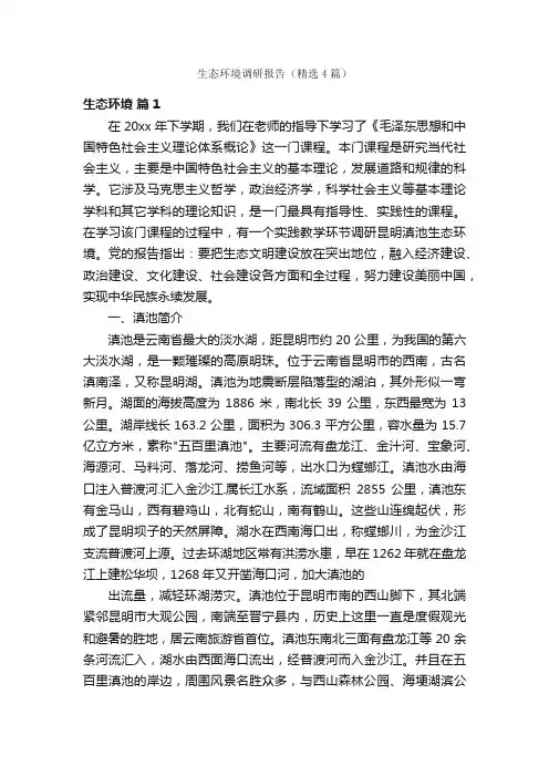 生态环境调研报告（精选4篇）