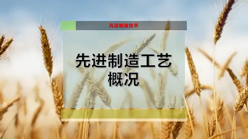 6-先进制造工艺概况PPT模板