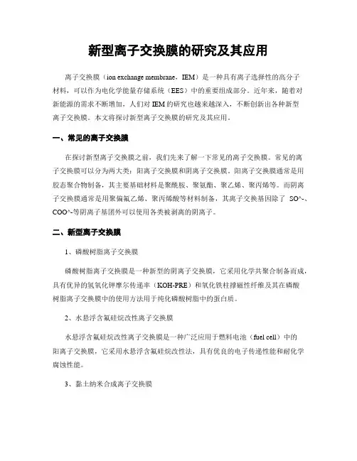 新型离子交换膜的研究及其应用