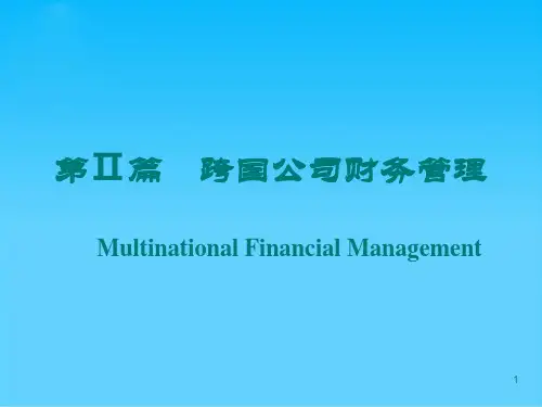 外汇风险管理程序与手段(ppt 28页)