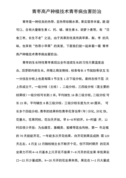 青枣高产种植技术青枣病虫害防治