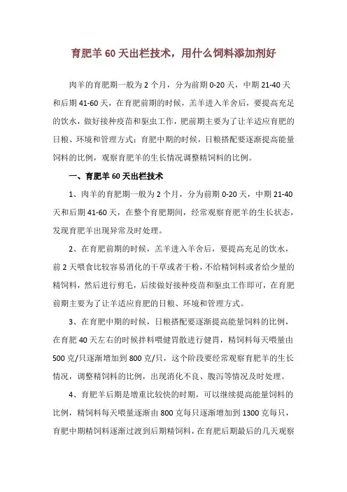 育肥羊60天出栏技术,用什么饲料添加剂好