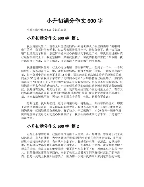 小升初满分作文600字