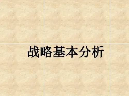 战略分析的基本工具概述(ppt 123页)
