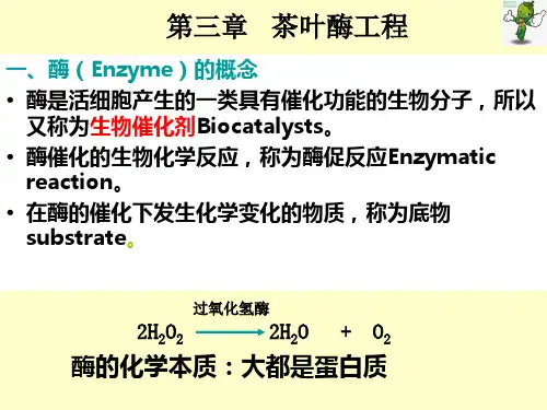 茶叶生物技术PPT课件(共7单元)03第三章茶叶酶工程