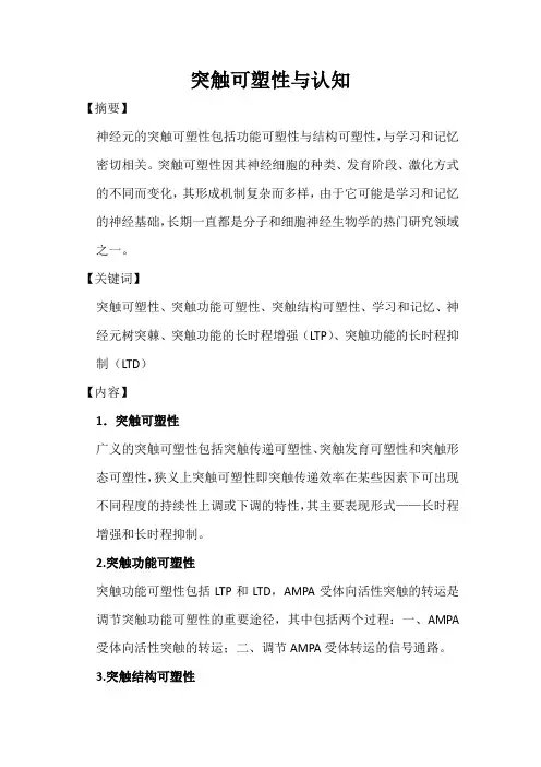 突触可塑性与认知