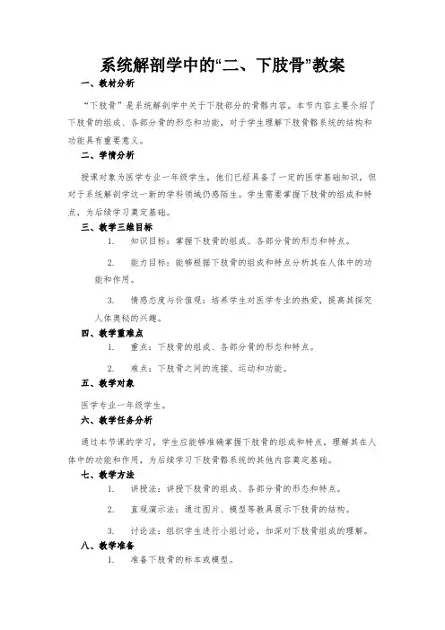 系统解剖学中的“二、下肢骨”教案