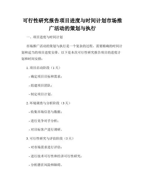 可行性研究报告项目进度与时间计划市场推广活动的策划与执行