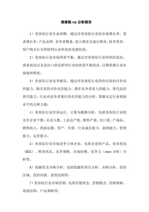 美容院stp分析报告