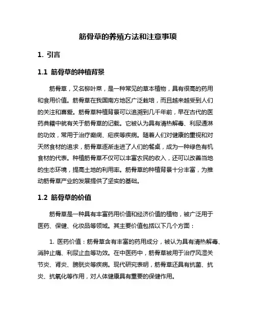 筋骨草的养殖方法和注意事项
