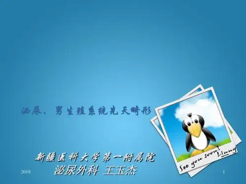 先天畸形最终版本ppt课件