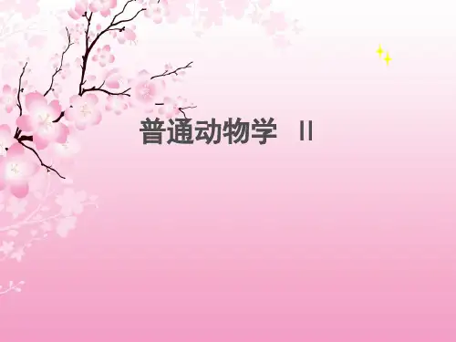 普通动物学(全套课件1069P)