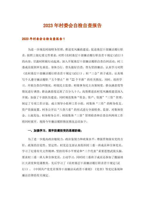 2023年村委会自检自查报告