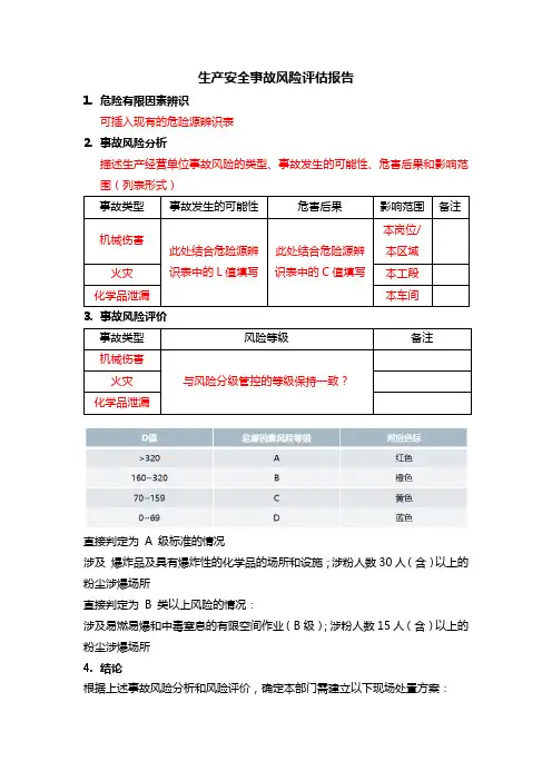 风险评估报告—大纲