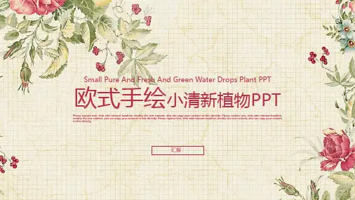 欧式小清新淡雅年终工作汇报总结PPT模板