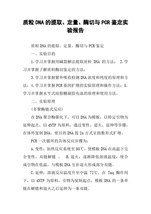 质粒DNA的提取、定量、酶切与PCR鉴定实验报告