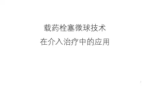载药微球PPT演示课件