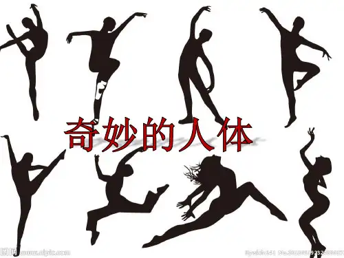 科学课件《身体的结构》