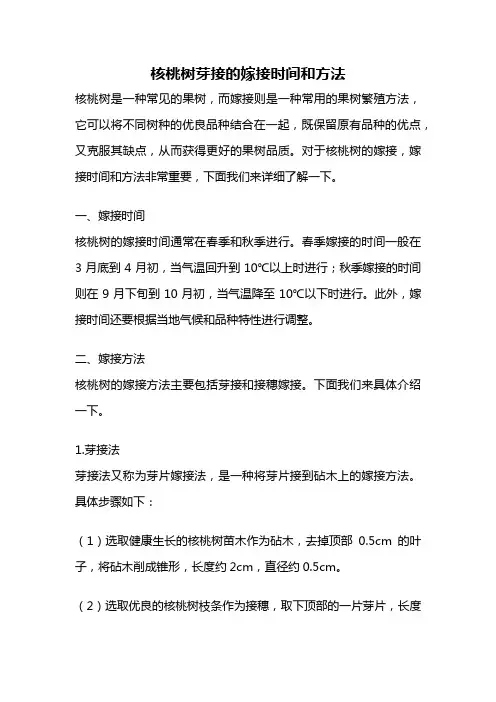 核桃树芽接的嫁接时间和方法