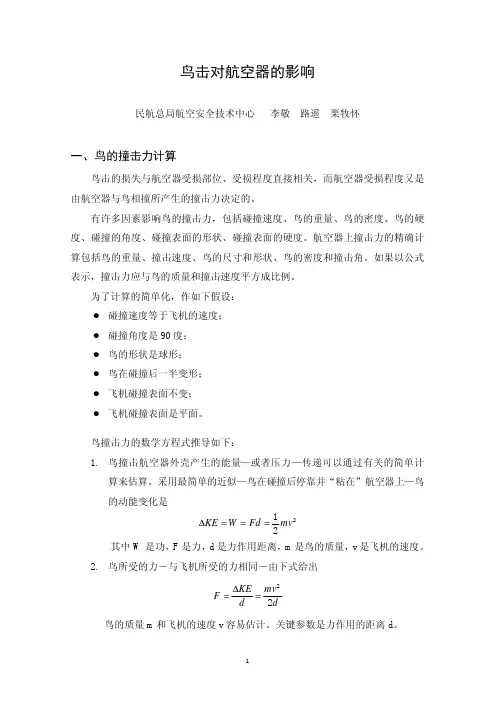 鸟击冲力计算