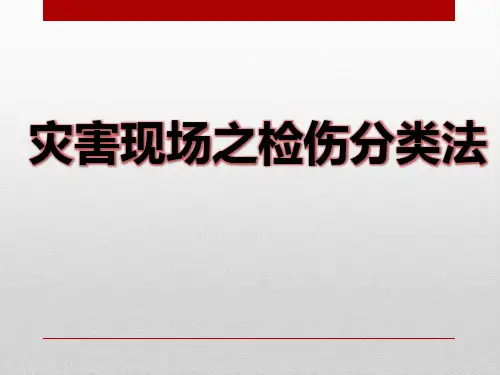 灾害现场之现场检伤分类法