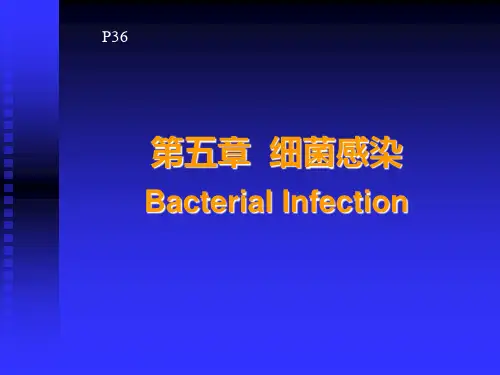 《细菌感染》PPT课件