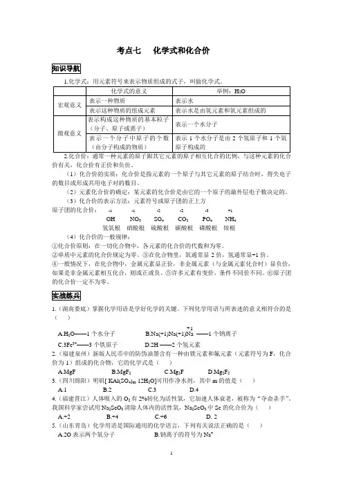 考点七   化学式和化合价