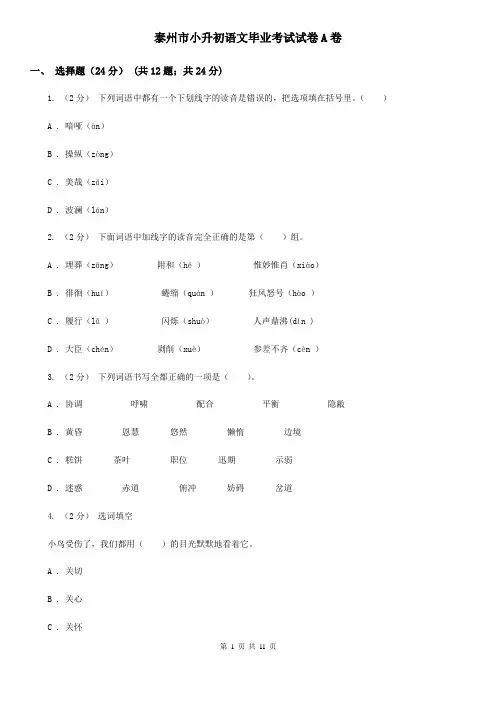 泰州市小升初语文毕业考试试卷A卷