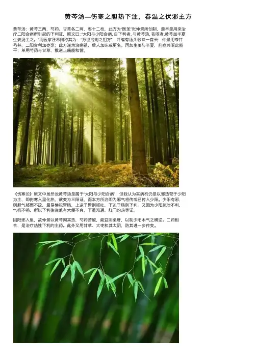 黄芩汤—伤寒之胆热下注，春温之伏邪主方