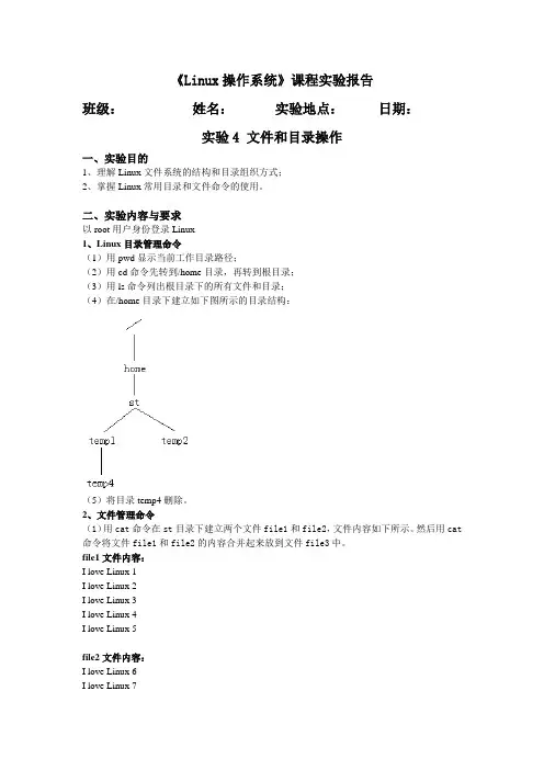 实验4 文件和目录操作