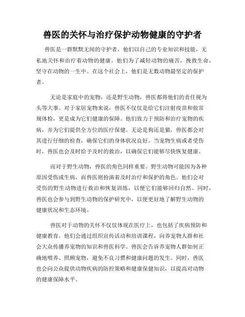 兽医的关怀与治疗保护动物健康的守护者