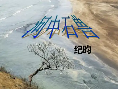 24复习课《河中石兽》PPT课件