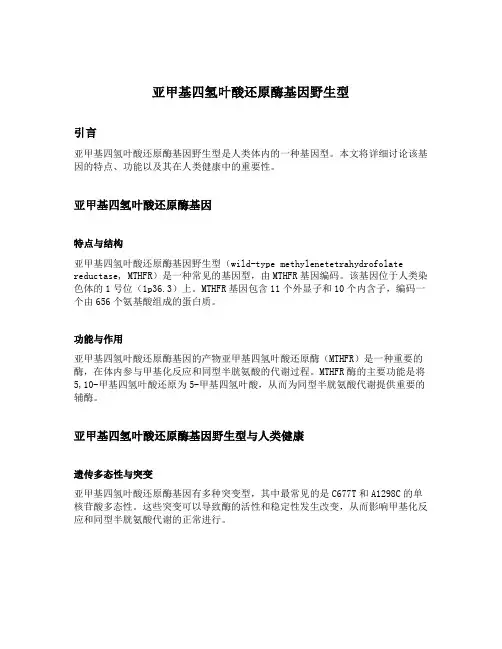 亚甲基四氢叶酸还原酶基因野生型